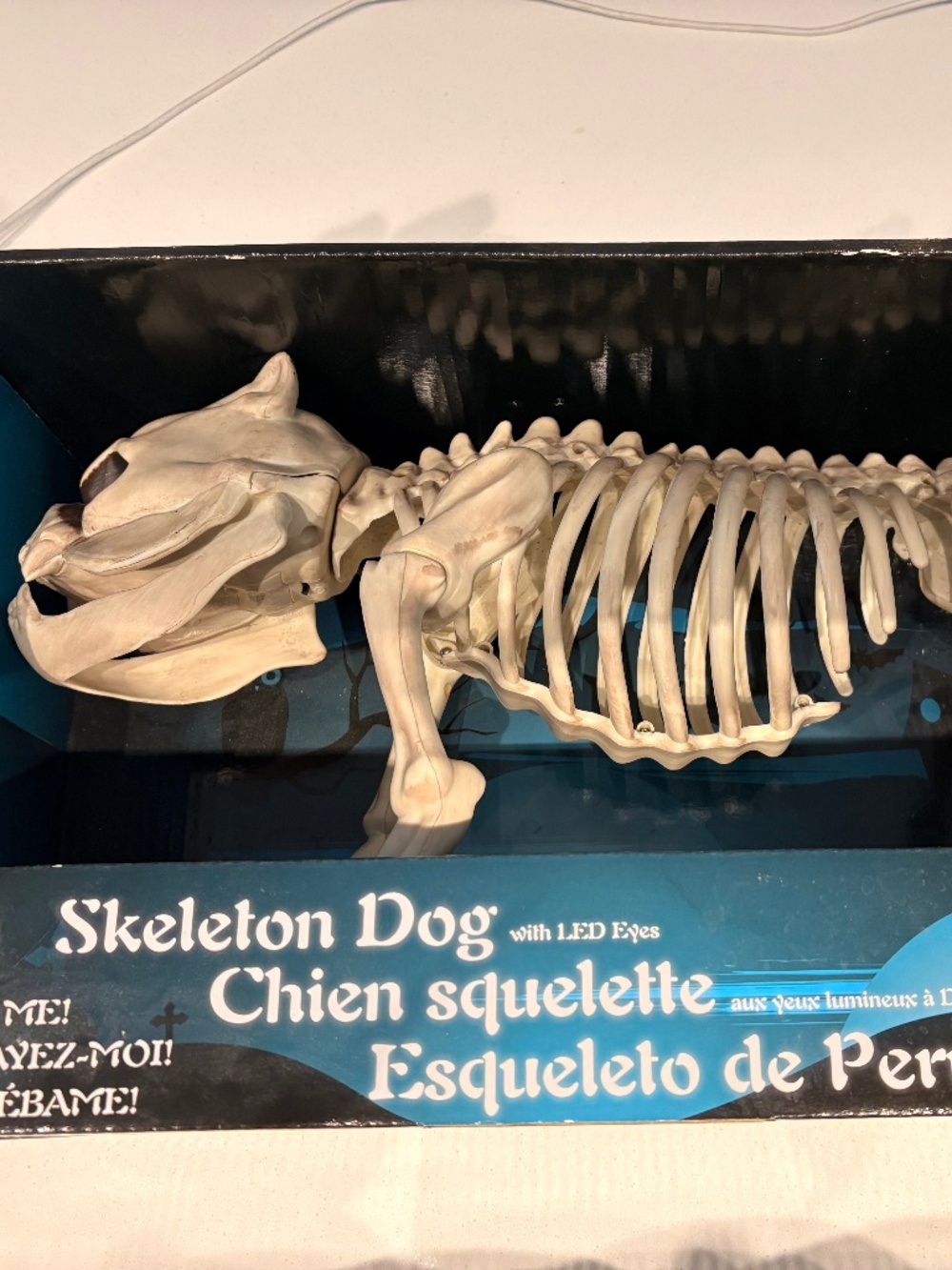 Halloween Decor Skeleton Dog